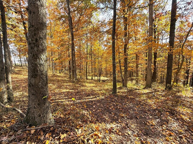 8052 E Ash Rd, Bloomfield, IN 47424 - photo 18