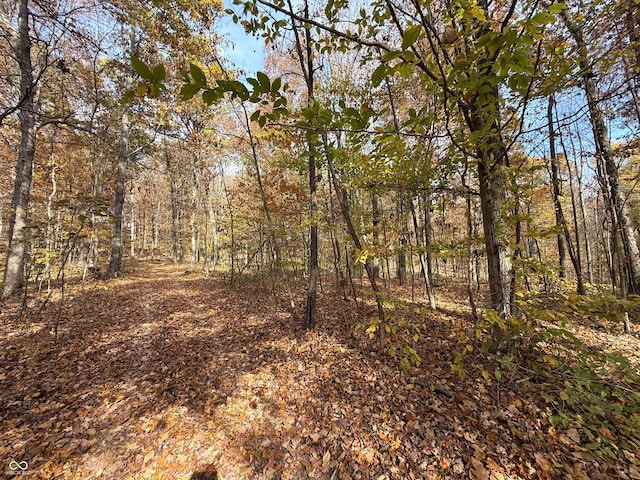 8052 E Ash Rd, Bloomfield, IN 47424 - photo 32
