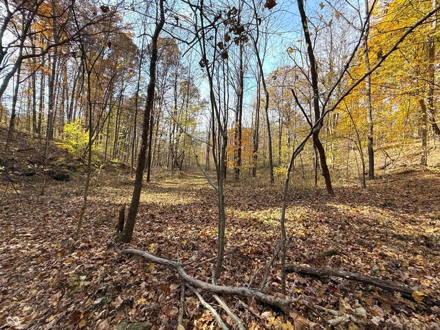 8052 E Ash Rd, Bloomfield, IN 47424 - photo 21