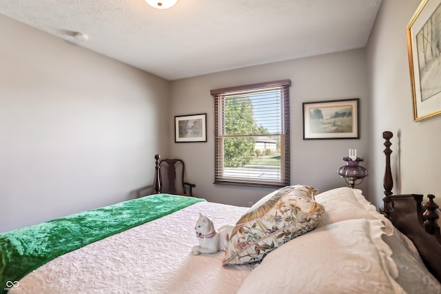 3784 Mansfield Dr, Brownsburg, IN 46112 - view of bedroom