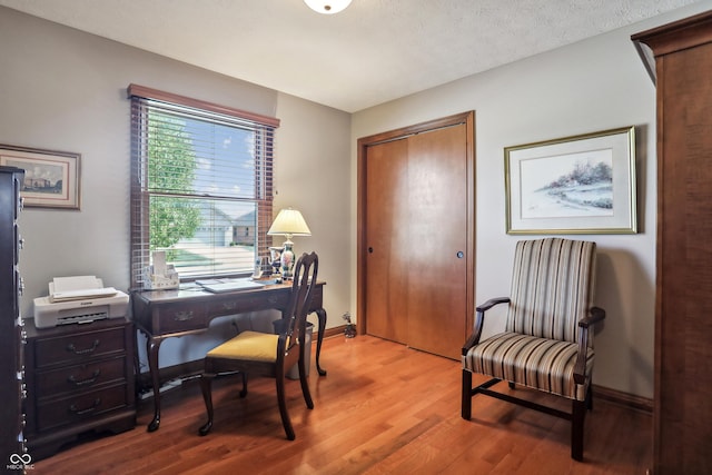 3784 Mansfield Dr, Brownsburg, IN 46112 - office space featuring light wood finished floors and baseboards