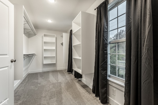 walk in closet with light colored carpet