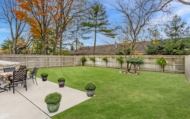 view of yard featuring a patio