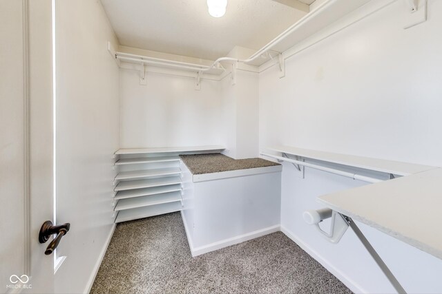 534 Austrian Way, Avon, IN 46123 - spacious closet featuring carpet