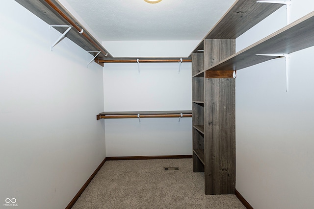 spacious closet with light carpet