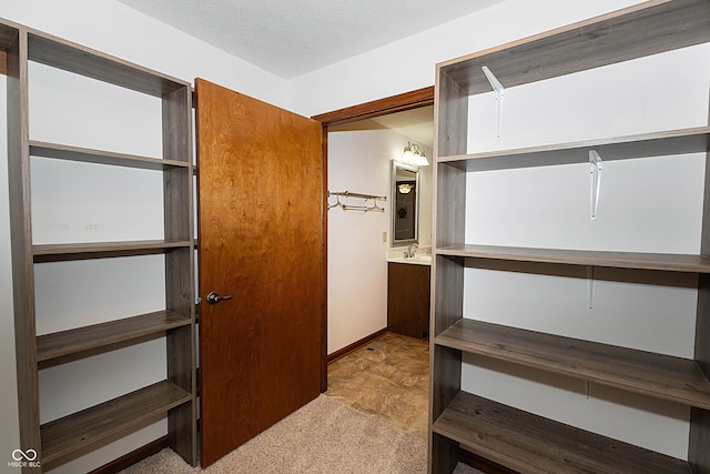 walk in closet with light colored carpet