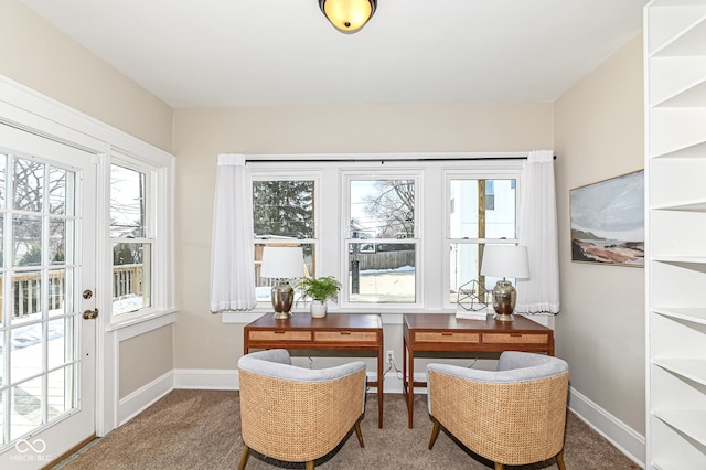 interior space featuring carpet flooring