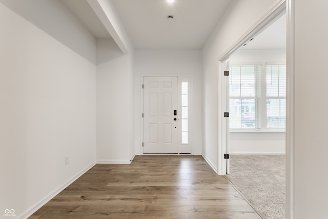 entrance foyer featuring wood-type flooring