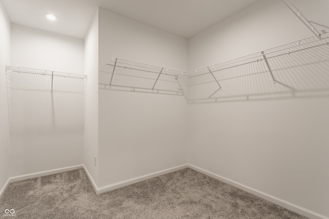 spacious closet with carpet