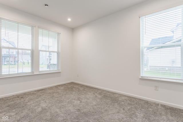 unfurnished room featuring carpet and a healthy amount of sunlight