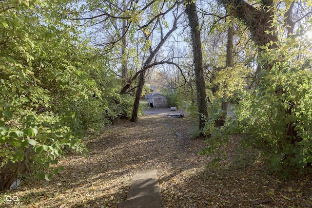 view of yard featuring a storage unit