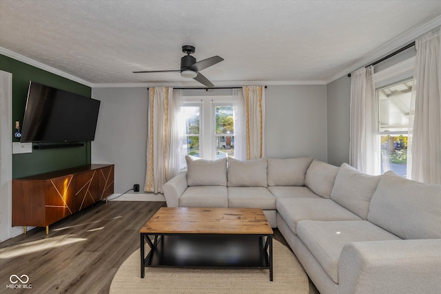 living room with ceiling fan, dark hardwood / wood-style flooring, a textured ceiling, and ornamental molding