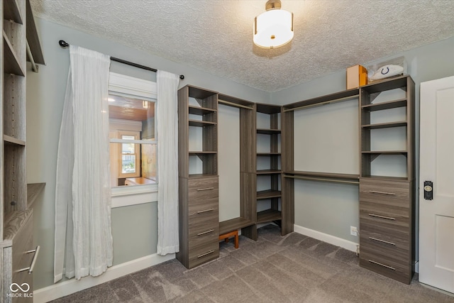 spacious closet with dark colored carpet