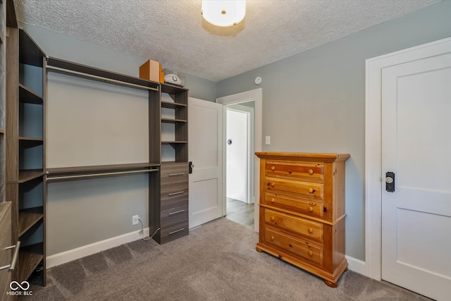 walk in closet featuring carpet floors