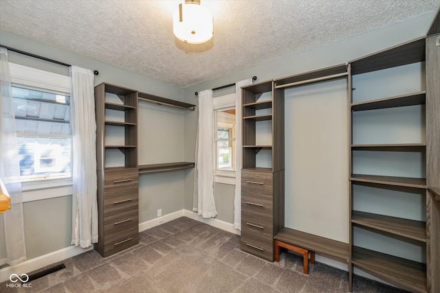 spacious closet with dark carpet