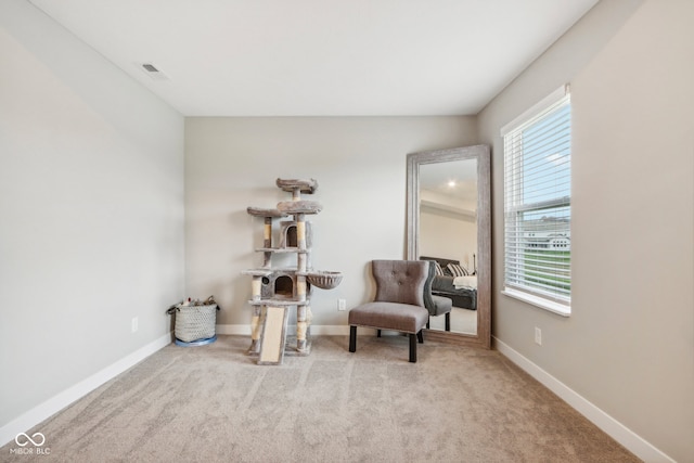 sitting room with light carpet