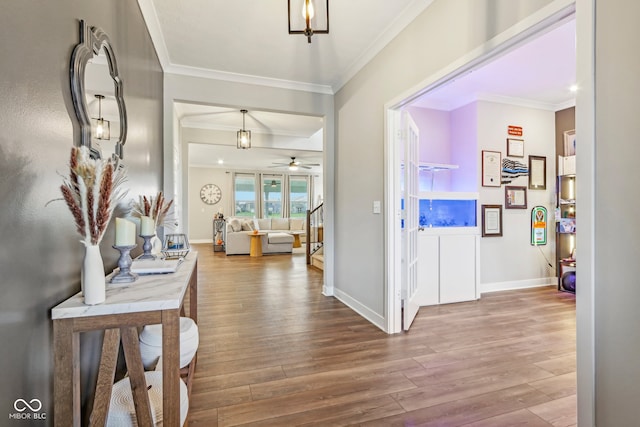 entryway with ceiling fan, wood-type flooring, and crown molding