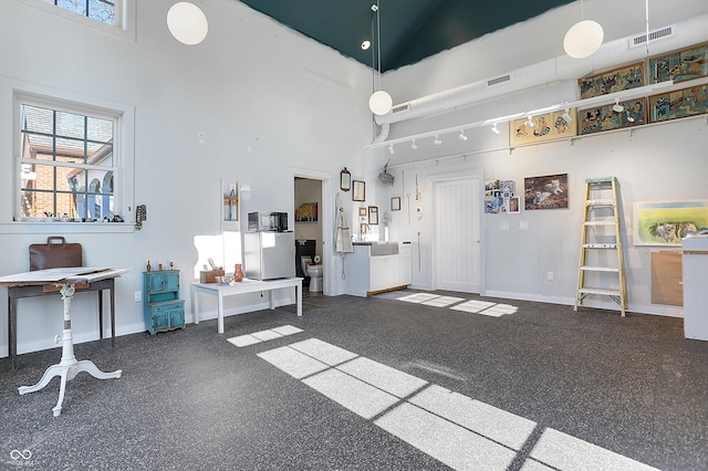 miscellaneous room featuring a healthy amount of sunlight and high vaulted ceiling