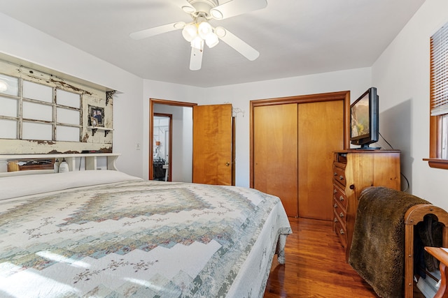 bedroom with ceiling fan, two closets, and dark hardwood / wood-style flooring