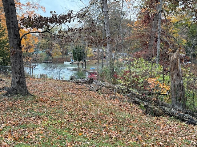 view of yard with a water view