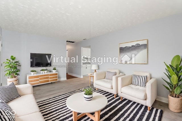 living room featuring wood-type flooring and a textured ceiling