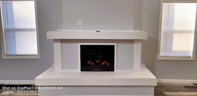 12544 S State Road 3, Westport, IN 47283 - detailed view of a fireplace with raised hearth, wood finished floors, and baseboards