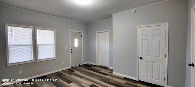 entrance foyer featuring dark hardwood / wood-style flooring