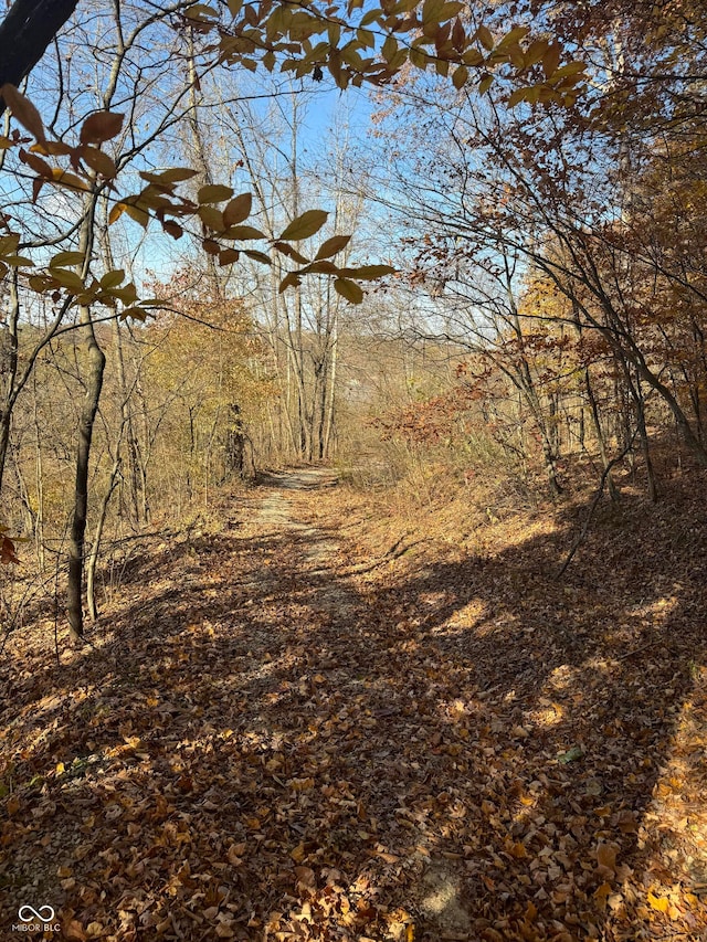 view of landscape