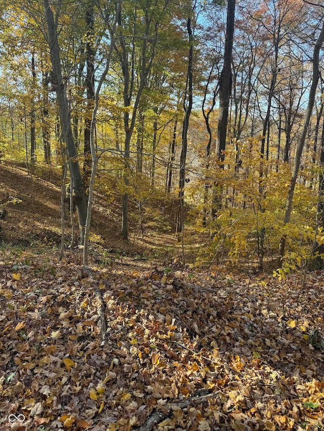 view of landscape