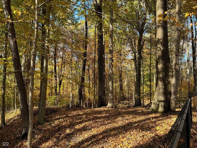 view of local wilderness