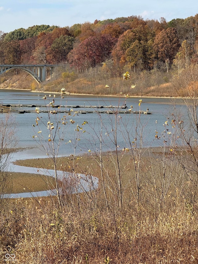 water view