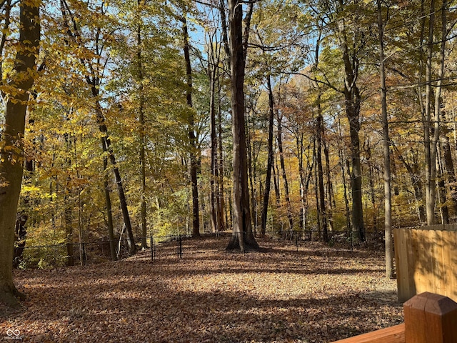 view of local wilderness