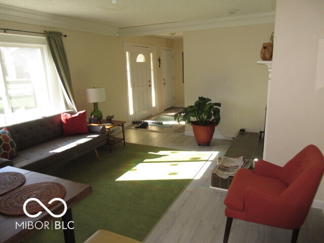 living room with ornamental molding and hardwood / wood-style floors