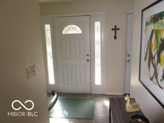 entryway featuring wood-type flooring