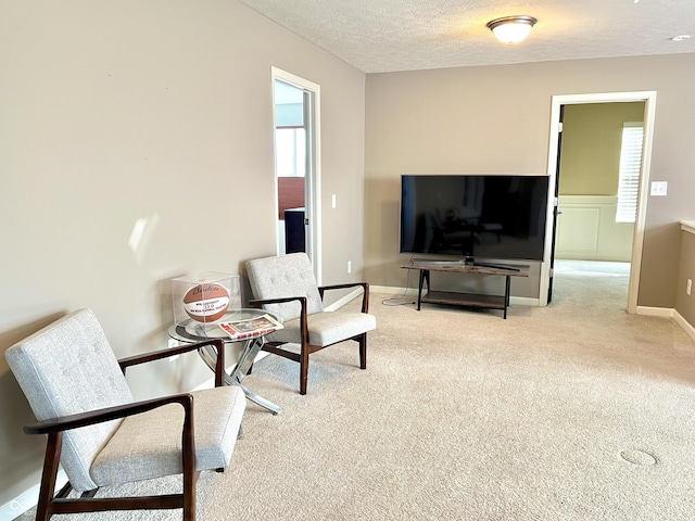 5778 W Commonview Dr, Mccordsville, IN 46055 - living area featuring carpet floors and a textured ceiling