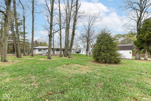 view of yard featuring a storage shed