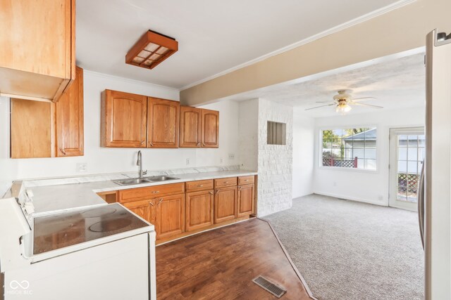 kitchen with dark hardwood / wood-style flooring, ceiling fan, electric stove, crown molding, and sink