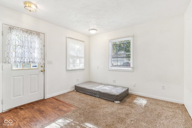 foyer featuring hardwood / wood-style floors