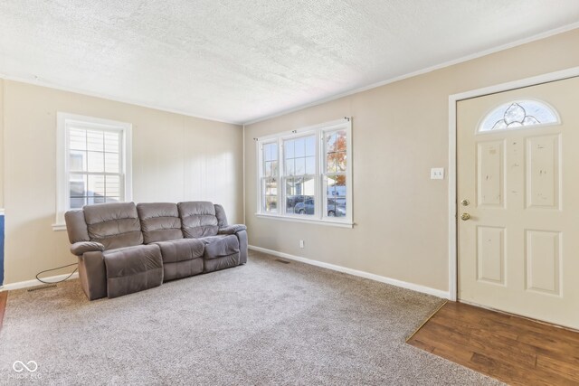 living room featuring hardwood / wood-style flooring, a textured ceiling, and plenty of natural light