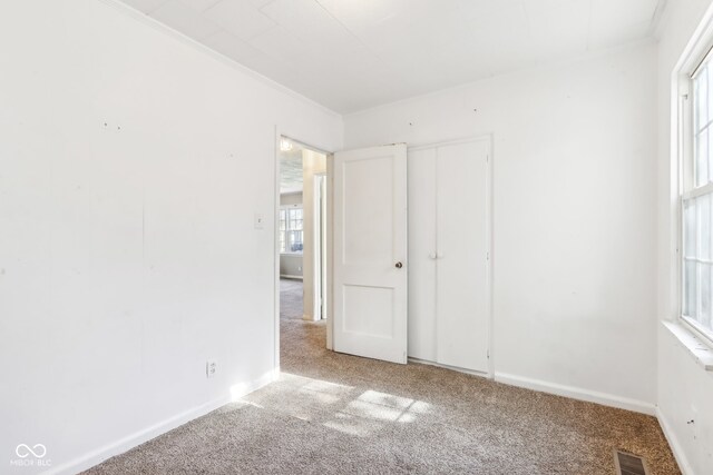 unfurnished bedroom with crown molding, multiple windows, and carpet floors