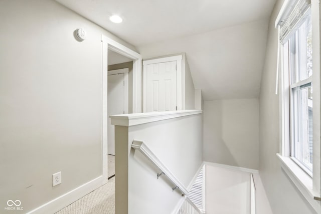 spacious closet featuring light colored carpet and vaulted ceiling