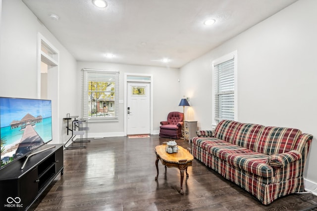 living room featuring dark wood-type flooring