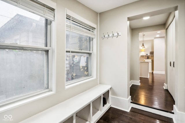 mudroom with dark hardwood / wood-style floors