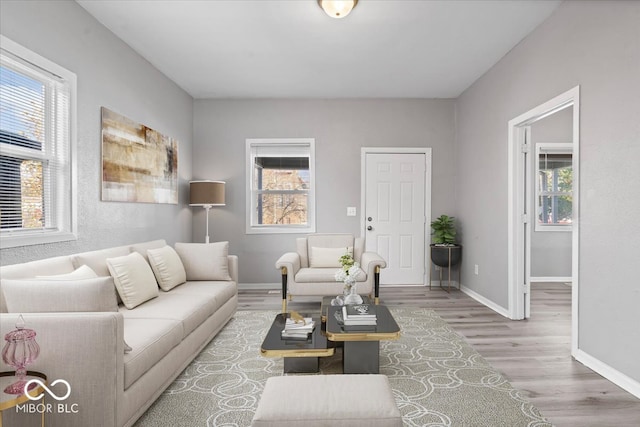 living room featuring a healthy amount of sunlight and wood-type flooring