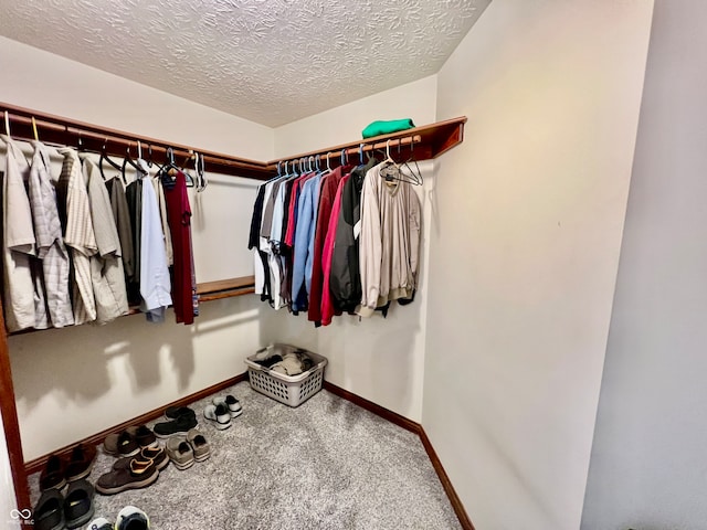 spacious closet with carpet floors