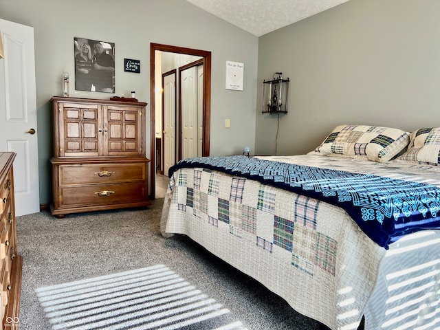 carpeted bedroom with lofted ceiling, a textured ceiling, and a closet