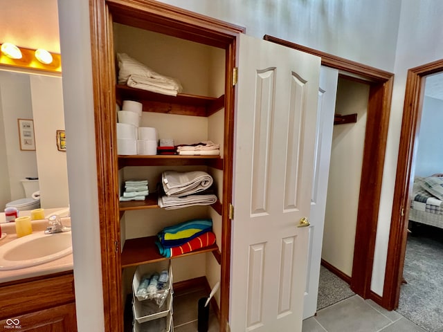 closet featuring sink