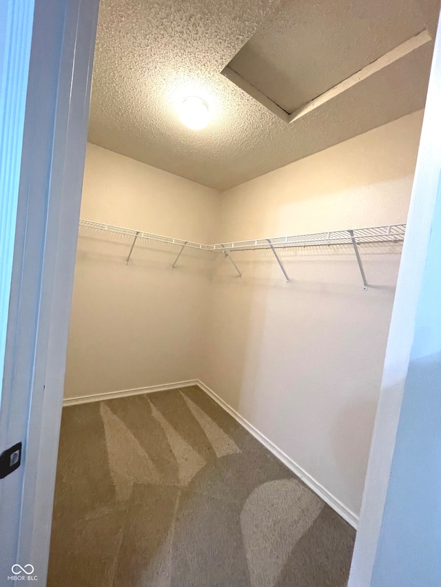 walk in closet with carpet