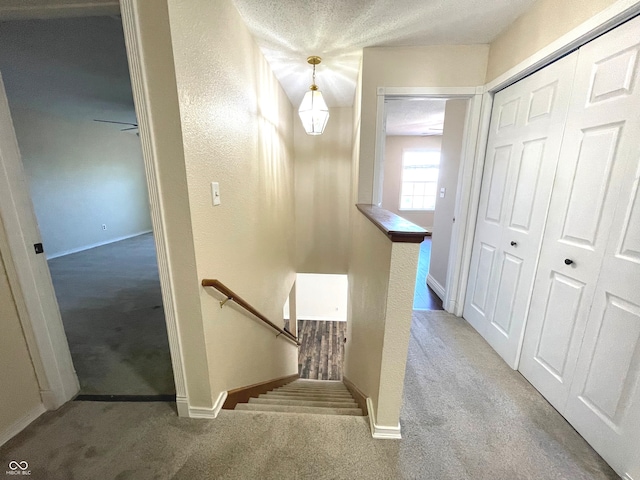 stairway with carpet floors and a textured ceiling