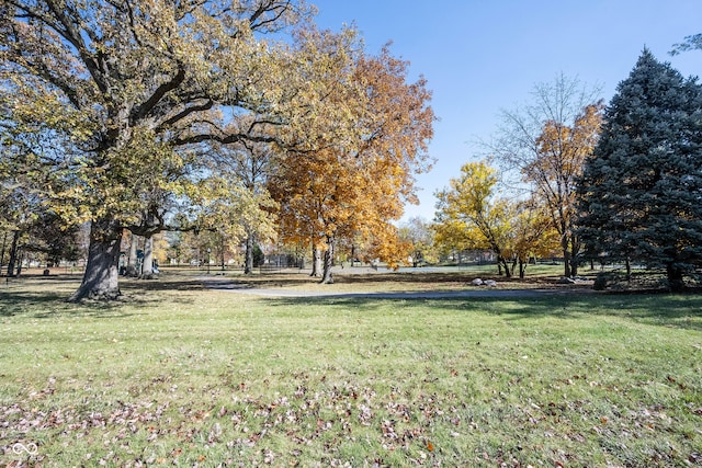 view of yard